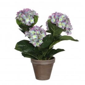градина,/,на,открито,аксесоари,на,разпродажба,mica,hydrangea,in,pot,stan,grey,purple