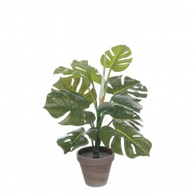 градина,/,на,открито,аксесоари,на,разпродажба,mica,monstera,green,in,pot,stan,grey,green