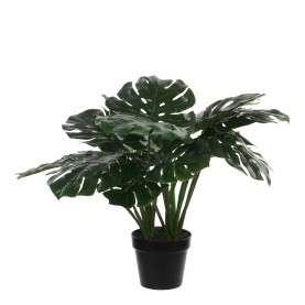 градина,/,на,открито,аксесоари,на,разпродажба,mica,monstera,in,plastic,pot,green,green