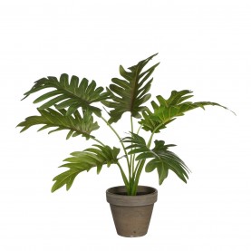градина,/,на,открито,аксесоари,на,разпродажба,mica,philodendron,green,in,pot,stan,grey,green