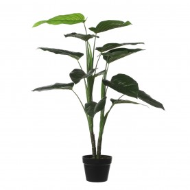 градина,/,на,открито,аксесоари,на,разпродажба,mica,philodendron,in,pot,green,green