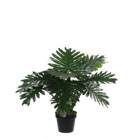 градина,/,на,открито,аксесоари,на,разпродажба,mica,philodendron,in,plastic,pot,green,green