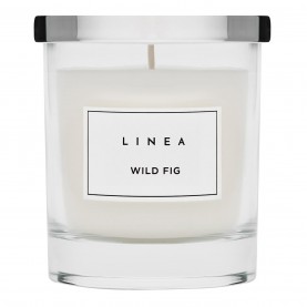 linea,glass,candle,wild,fig