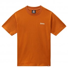 тениска,мъжки,тениски,dickies,bettles,short,sleeve,t,shirt,orange,(pumpkin,spice)
