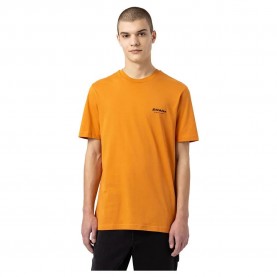 тениска,мъжки,тениски,dickies,artondale,box,short,sleeve,t,shirt,yellow,(golden,ochre)