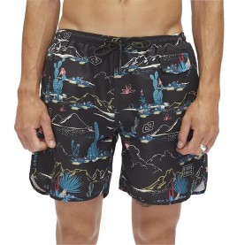 бански,гащета,мъжки,бански,костюми,hydroponic,16´,cacti,swimming,shorts,black,(black)