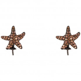 бижутерия,lancaster,jla,ear,star4,earrings,golden,(brown,ip,black)