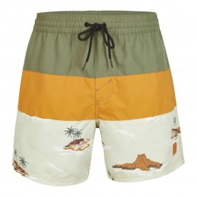 бански,гащета,мъжки,бански,костюми,o´neill,cali,block,15´´,swimming,shorts,green