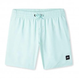 Бански гащета O´neill Future Surf Society 14´´ swimming shorts - Blue (Beach Glass) бански,гащета,детски,бански,костюми,o´neill,future,surf,society,14´´,swimming,shorts,blue,(beach,glass)