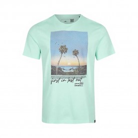 тениска,мъжки,тениски,дамски,тениски,o´neill,loren,short,sleeve,t,shirt,green,(beach,glass)