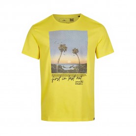тениска,мъжки,тениски,o´neill,loren,short,sleeve,t,shirt,yellow,(dandelion)