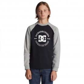 блуза,детски,блузи,dc,shoes,strpltrglncwb,sweatshirt,grey,(black,grey,heather)