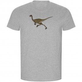 тениска,мъжки,тениски,kruskis,dino,run,eco,short,sleeve,t,shirt,heather,grey,(grey)