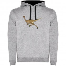 суичър,мъжки,пуловери,kruskis,dino,run,two,colour,hoodie,heather,grey,black,(grey)