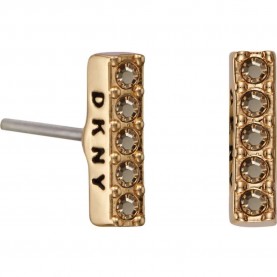 бижутерия,dkny,5520081,earrings,golden,(grey)