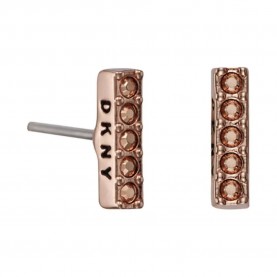 бижутерия,dkny,5520082,earrings,golden,(pink)