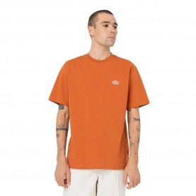тениска,мъжки,тениски,dickies,summerdale,short,sleeve,t,shirt,brown,(orange)