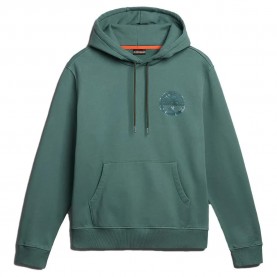 суичър,мъжки,пуловери,napapijri,b,bollo,1,hoodie,green,(green,balsam)