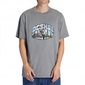 тениска,мъжки,тениски,dc,shoes,citywide,short,sleeve,t,shirt,grey