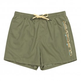 бански,гащета,мъжки,бански,костюми,quiksilver,behind,wave,swimming,shorts,four,leaf,clover,(green)