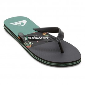 джапанки,мъжки,джапанки,и,чехли,quiksilver,molokai,flip,flops,black,black,green,(black)