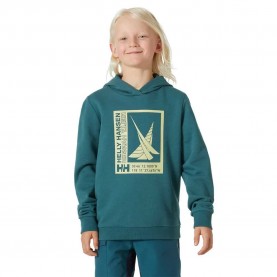 суичър,детски,блузи,helly,hansen,port,hoodie,green,(dark,creek)