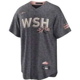 тениска,мъжки,тениски,fanatics,washington,nationals,city,connect,short,sleeve,v,neck,t,shirt,grey,(dark,grey,melange)