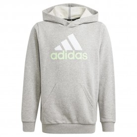 суичър,детски,блузи,adidas,essentials,2,coloured,big,logo,hoodie,grey