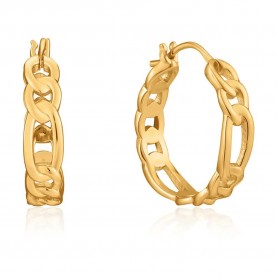 бижутерия,ania,haie,e021,04g,earrings,golden,(golden)