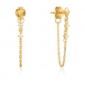 бижутерия,ania,haie,e025,02g,earrings,golden,(golden)