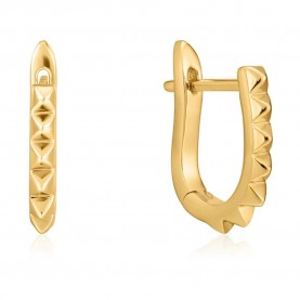 бижутерия,ania,haie,e025,07g,earrings,golden,(golden)