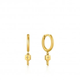 бижутерия,ania,haie,e032,04g,earrings,golden,(grey)