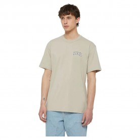 тениска,мъжки,тениски,dickies,aitkin,chest,short,sleeve,t,shirt,beige,(sandstone)