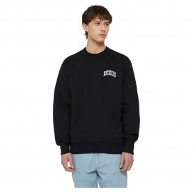 блуза,мъжки,пуловери,дамски,пуловери,dickies,aitkin,chest,sweatshirt,black,(blk,coronet,ble)