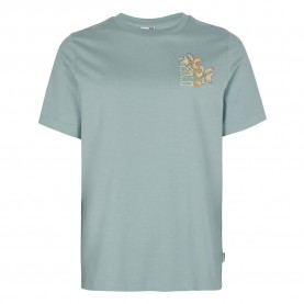 тениска,мъжки,тениски,дамски,тениски,o´neill,allora,graphic,short,sleeve,t,shirt,green,(adley,blue)