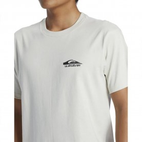 тениска,мъжки,тениски,quiksilver,retro,rocker,short,sleeve,t,shirt,silver,birch,(white)