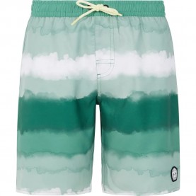 бански,гащета,детски,бански,костюми,protest,abel,swimming,shorts,frost,green,(green)