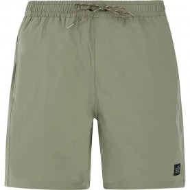 бански,гащета,мъжки,бански,костюми,protest,baky,swimming,shorts,artic,green,(green)
