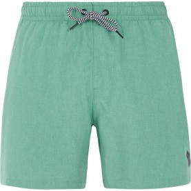 бански,гащета,мъжки,бански,костюми,protest,davey,swimming,shorts,frost,green,(green)