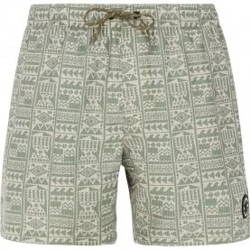 бански,гащета,мъжки,бански,костюми,protest,flip,swimming,shorts,artic,green,(green)
