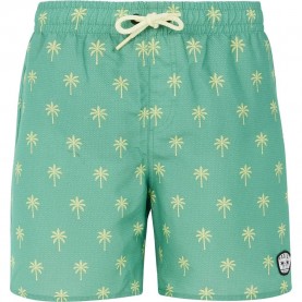 бански,гащета,детски,бански,костюми,protest,fonz,swimming,shorts,frost,green,(green)