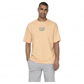 тениска,мъжки,тениски,only,&,sons,kenny,rlx,text,short,sleeve,t,shirt,creampuff,(orange)