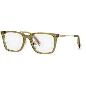 Chopard VCH346 glasses - Golden (Shiny Transp.Olive Green) очила,chopard,vch346,glasses,golden,(shiny,transp.olive,green)
