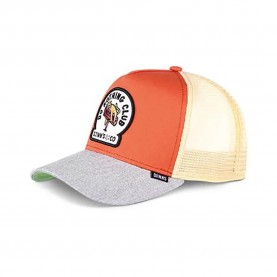шапка,всички,шапки,djinns,dnc,new,1.1,cap,orange,(orange,grey,yellow)