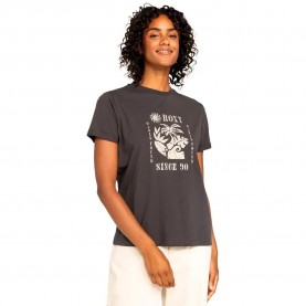 тениска,дамски,тениски,roxy,summer,fun,a,short,sleeve,t,shirt,grey,(phantom)