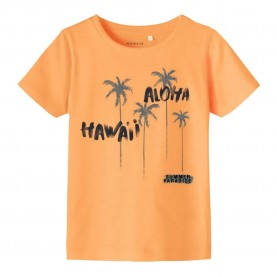 тениска,детски,тениски,name,it,frankie,short,sleeve,t,shirt,orange,pop,(orange)