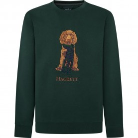 блуза,мъжки,пуловери,hackett,harry,sweatshirt,green