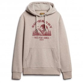 суичър,мъжки,пуловери,superdry,lo,fi,outdoor,graphic,hoodie,beige