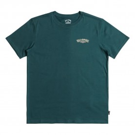 тениска,детски,тениски,billabong,dreamy,place,short,sleeve,t,shirt,real,teal,(green)