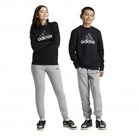 детски,екипи,детски,облекла,за,момчета,adidas,essentials,big,logo,fleece,jogger,set,black,(black,grey)